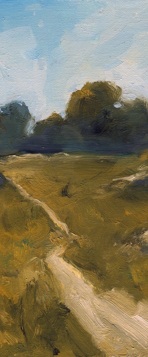 The Path Through the Fields by Alexeï Yakurin
