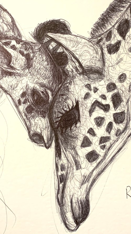 Giraffe And Baby by Ryan  Louder