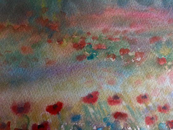 Poppies in the meadow