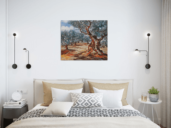 Olive Grove