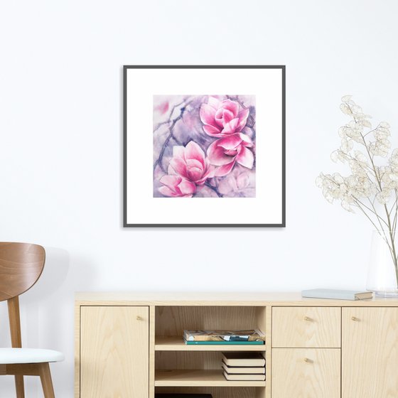 Magnolia blooming, pink flowers watercolor painting