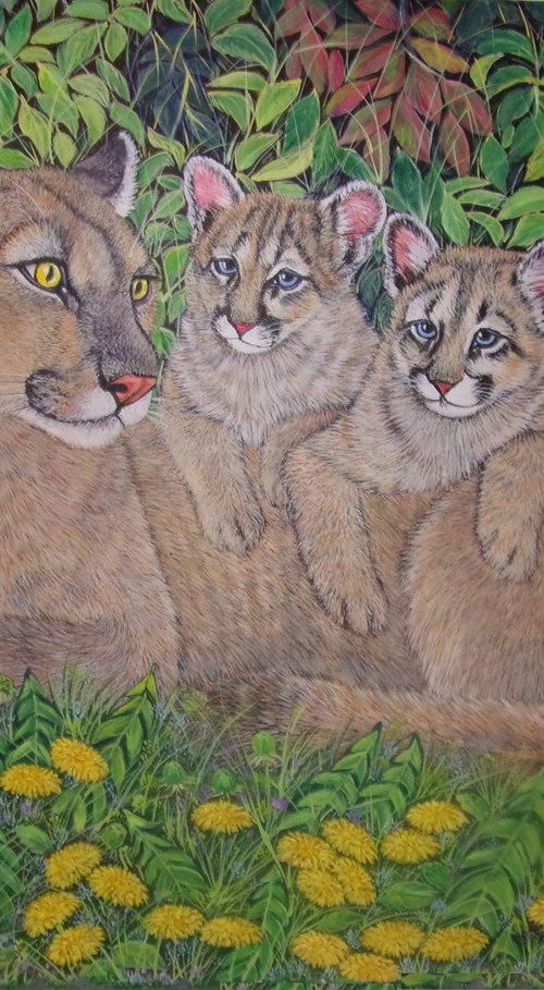 Mountain lion ( puma, cougar, panther) with her Kittens by Sofya Mikeworth