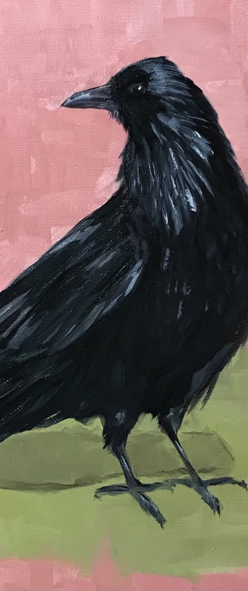 Crow on pink by Marina Deryagina