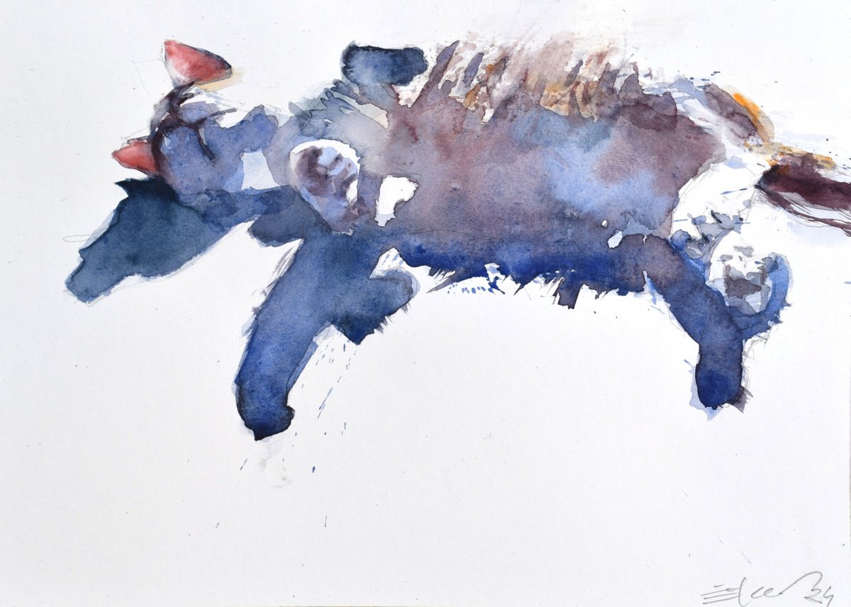Animal Watercolour By Goran Zigolic Watercolors, 17 X 12, Cat In The Sunlight, Original Artwork