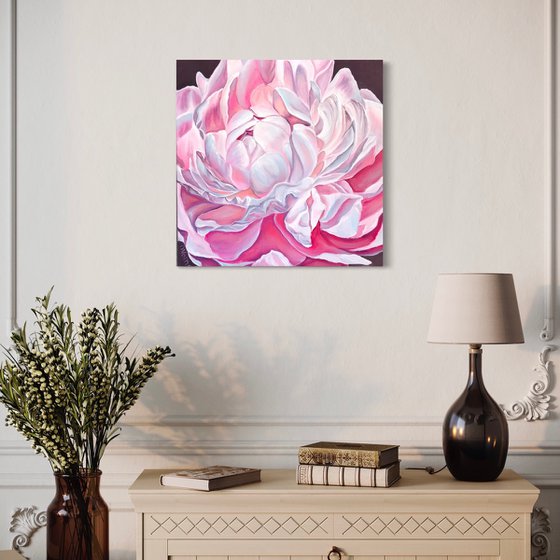 Pink peony