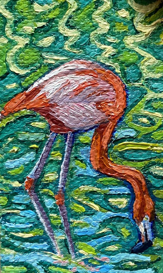 "Flamingo"