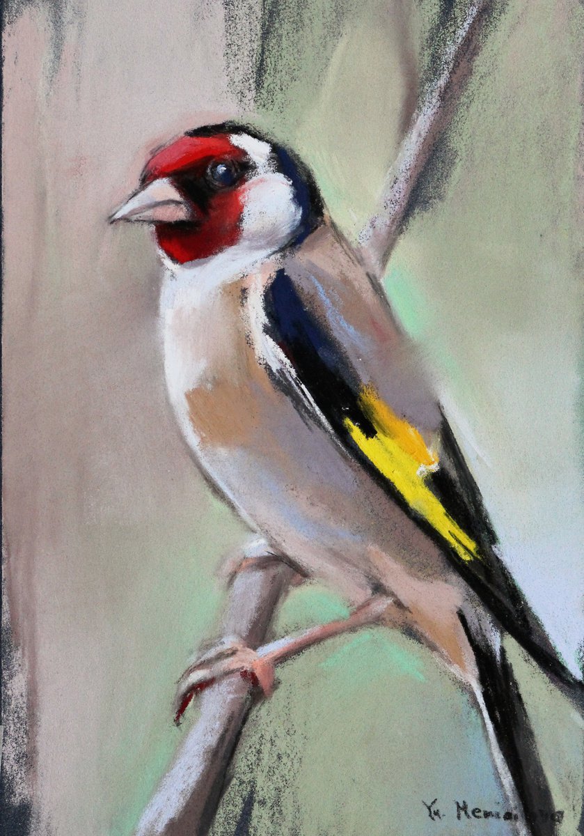 Goldfinch - Bird - Pastel drawing by Yuliia Meniailova