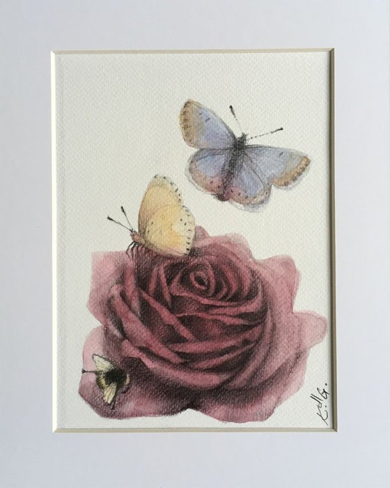Rose and butterflies 1