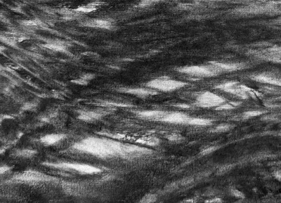 River Flow Patterns (Flood)