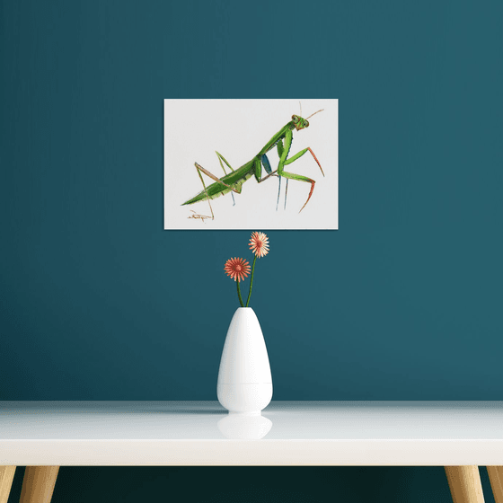 Praying Mantis