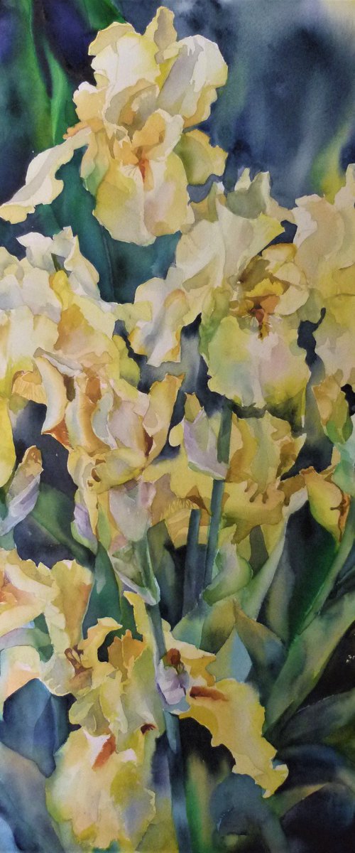 Yellow irises#2 by Yurii Pashkov