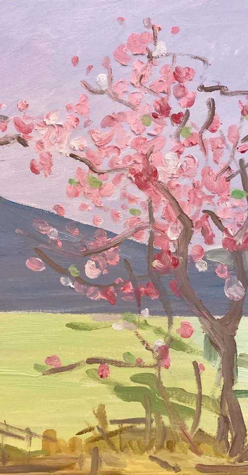 Peach Blossoms by Kat X