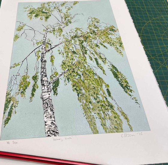 Dalmeny Birch linocut