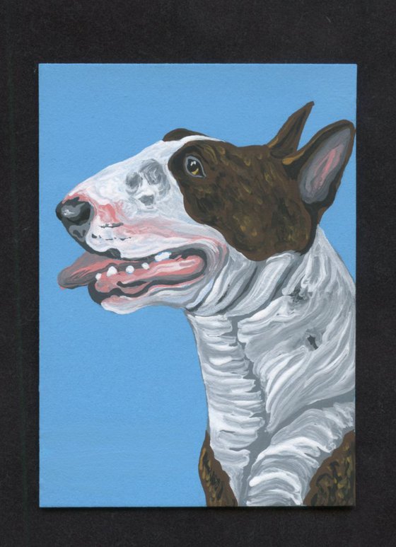 ACEO ATC Original Painting Bull Terrier Pet Dog Art-Carla Smale