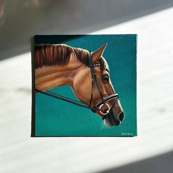 Horse Portrait 3