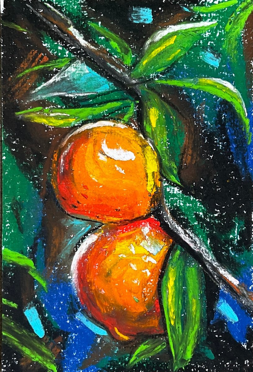 Impressionistic Botanical Pastel Drawing By Amani Muhammad, 4 X 6, Tangerines, Original Artwork