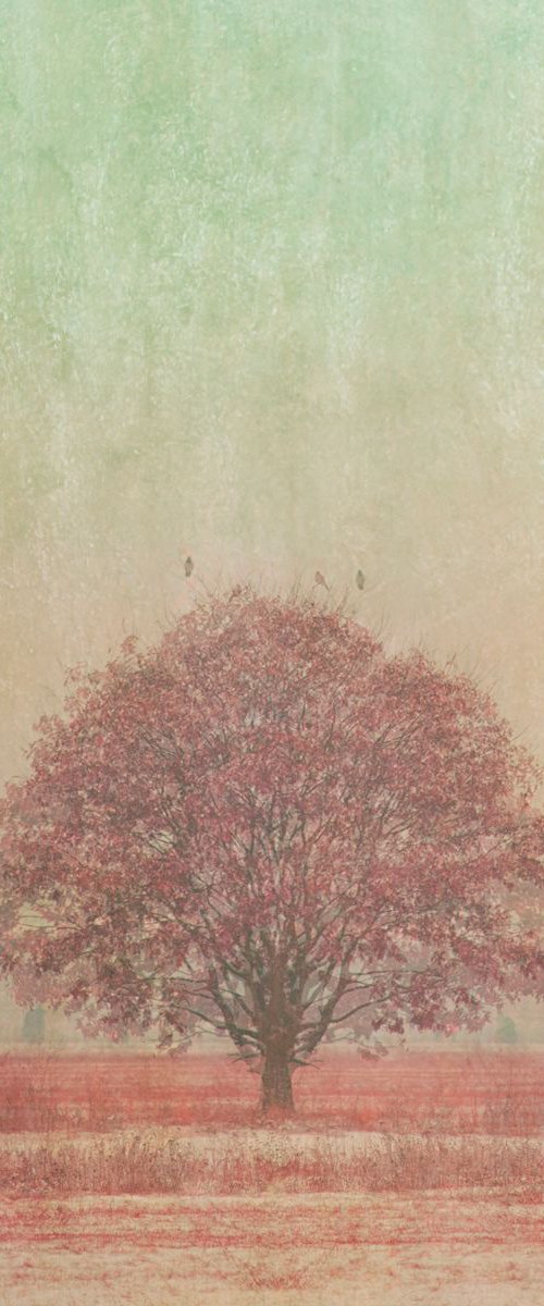 (Painterly) Pink tree by Louise O'Gorman