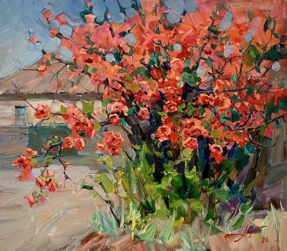 Quince in Bloom