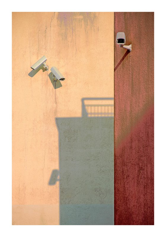 Wallscape 233 (Surveillence)