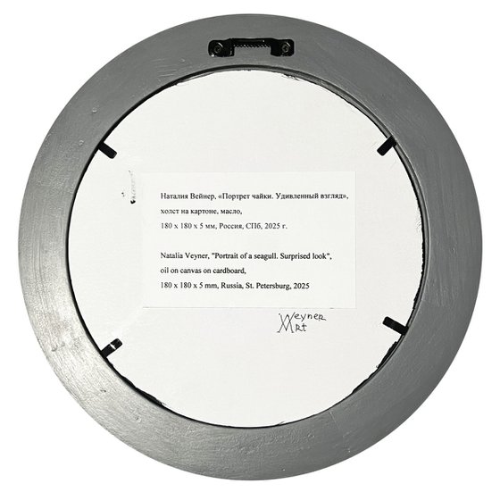 Portrait of a seagull.