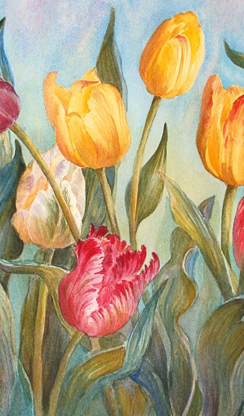 Multicolored tulips by Yulia Krasnov