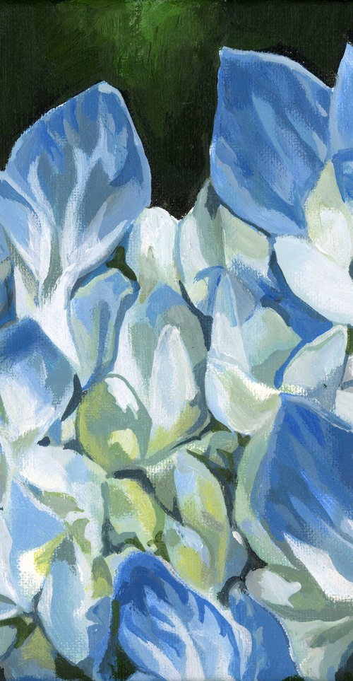 blue hydrangea acrylic painting by Alfred  Ng
