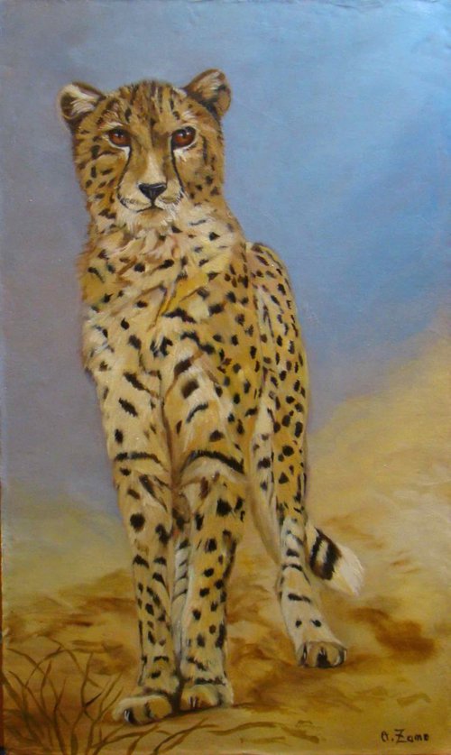 Cheetah by Anne Zamo