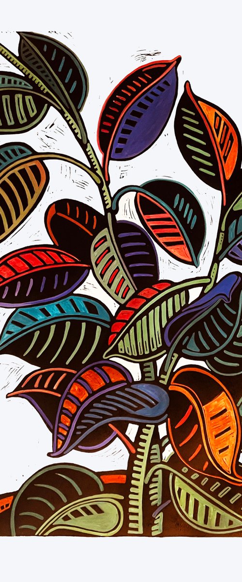 Rubber Plant by Laurel Macdonald