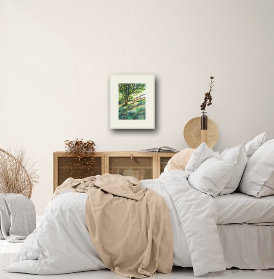 Morning light meadow