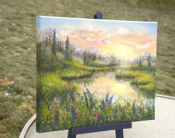 Sunset at the bluebonnet field