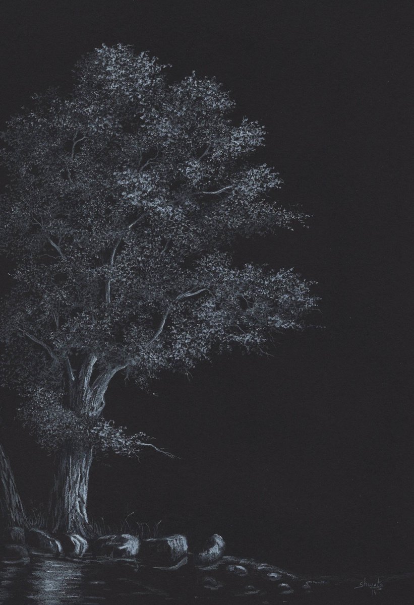 Oak Tree Drawing 4 by Shweta Mahajan