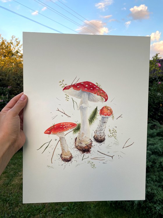 Mushrooms