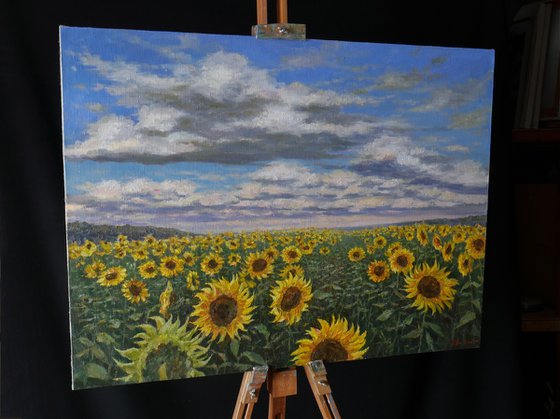 Sunflower Field - original landscape painting