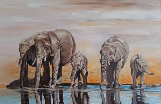 Elephants at the watering hole