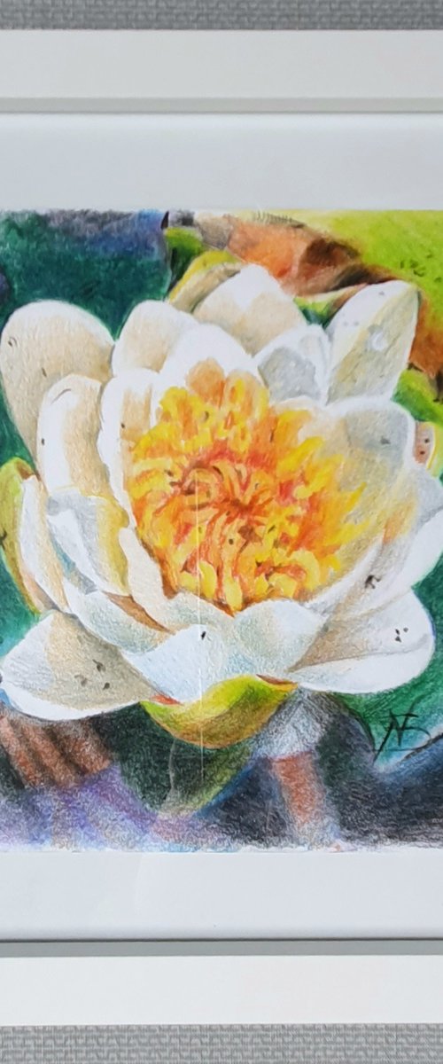 Waterlily floral by SoNata Art