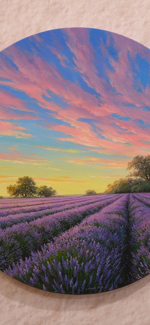 Lavender dreams by Eduard Zhaldak