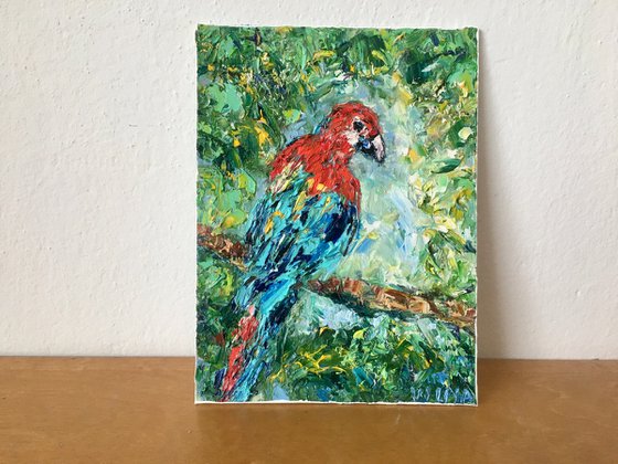 Parrot Ara