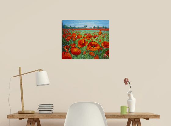 Poppies