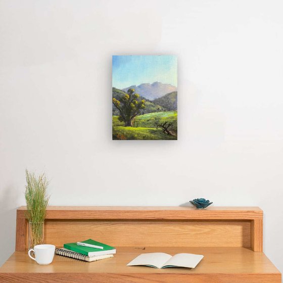 Elders Range Flinders