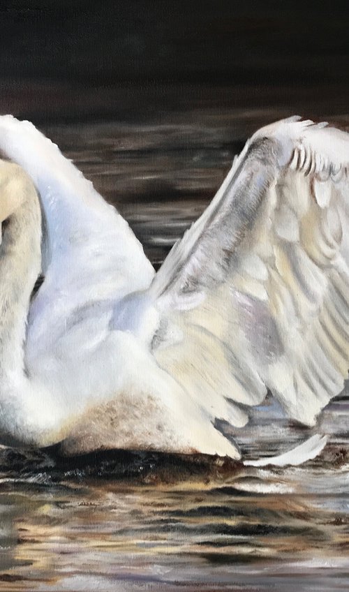Swan, Lonely by Farzaneh Maddahi