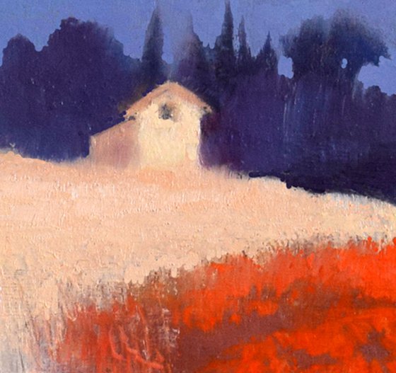 Moonrise over the poppy field-Provence