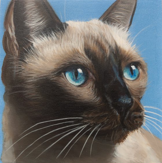 Sky Eyes