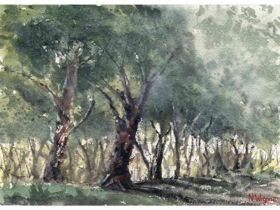 By The Edge Of The Trees