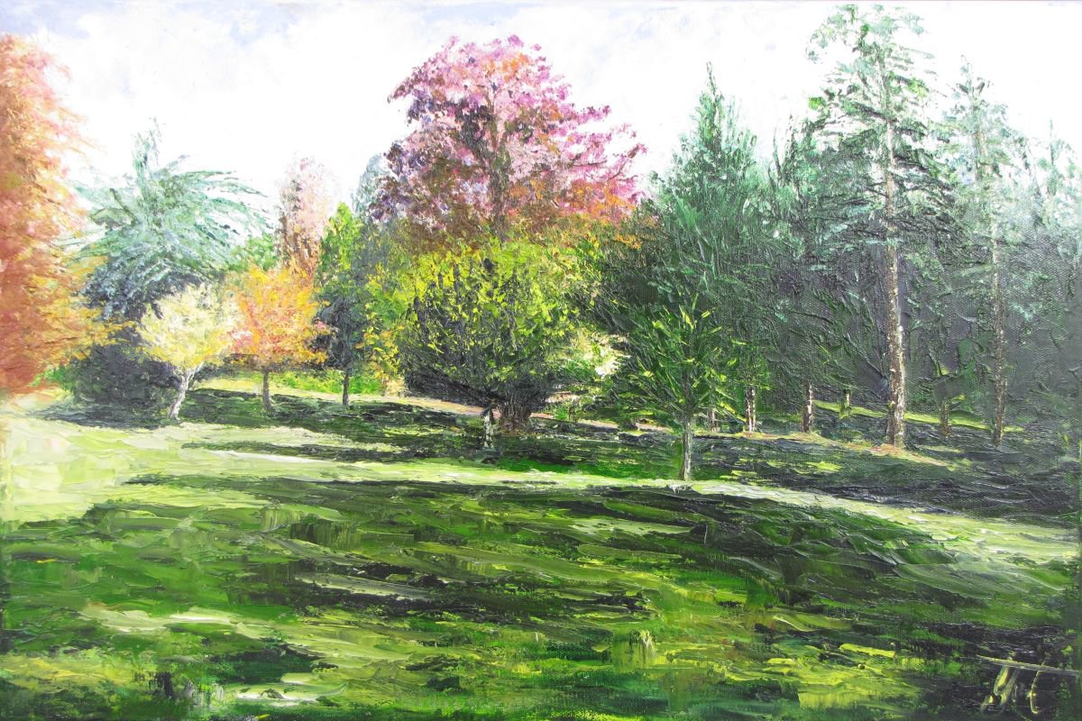 Stratford Park Small trees by Christine Gaut