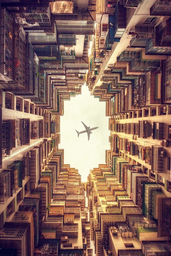 Caged Skies