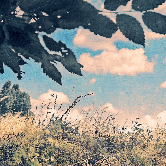 Autumn comes quietly.