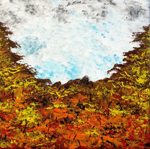 Forest in autumn 1 by Daniel Urbaník