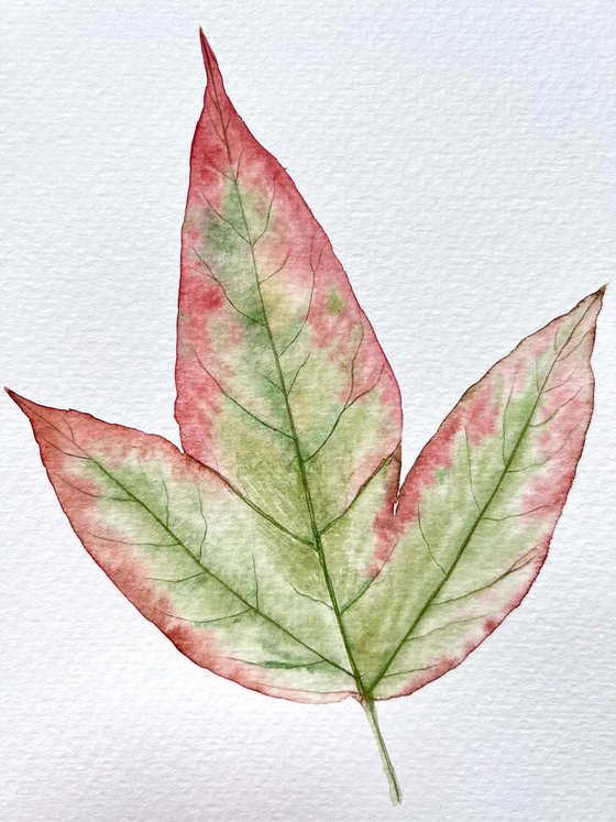 Autumn leaf Sketch #3