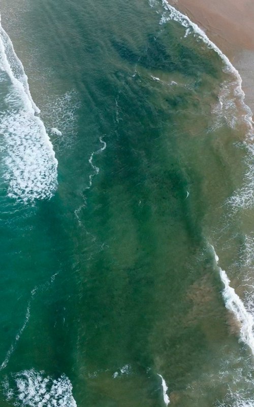 Harmony of the ocean by Tatiana Zappa