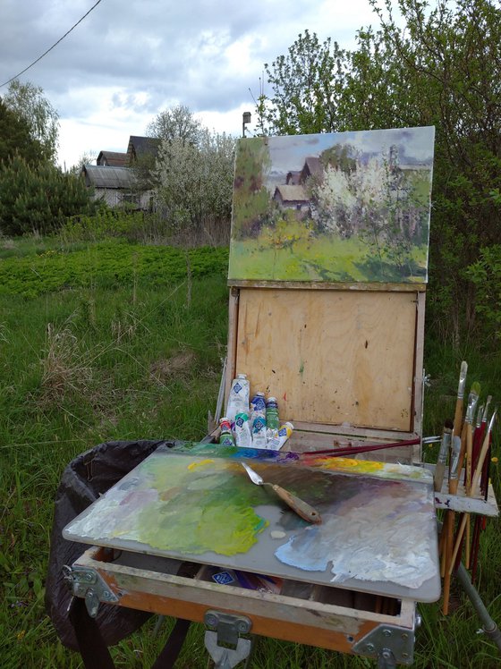 In the May Sun